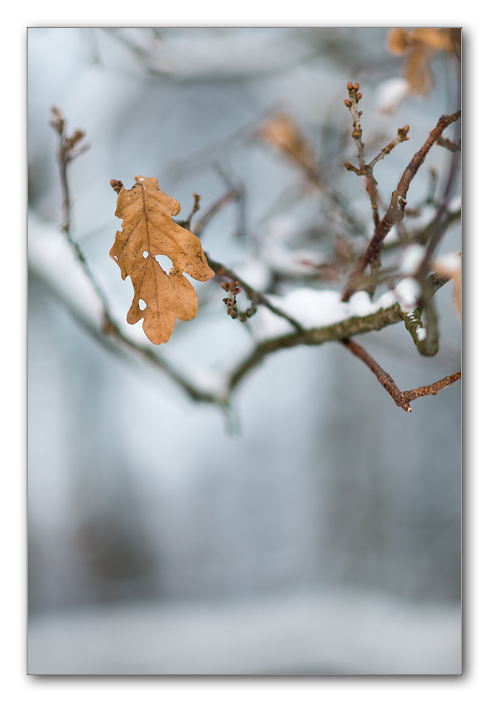 schnee2