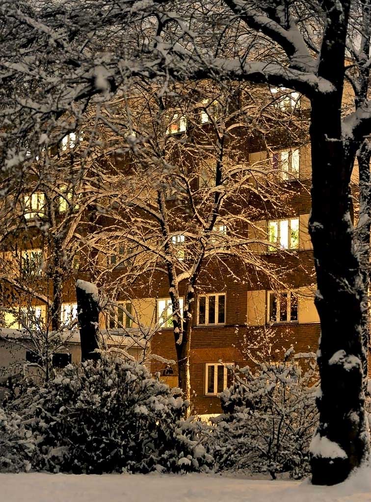 Schnee2010
