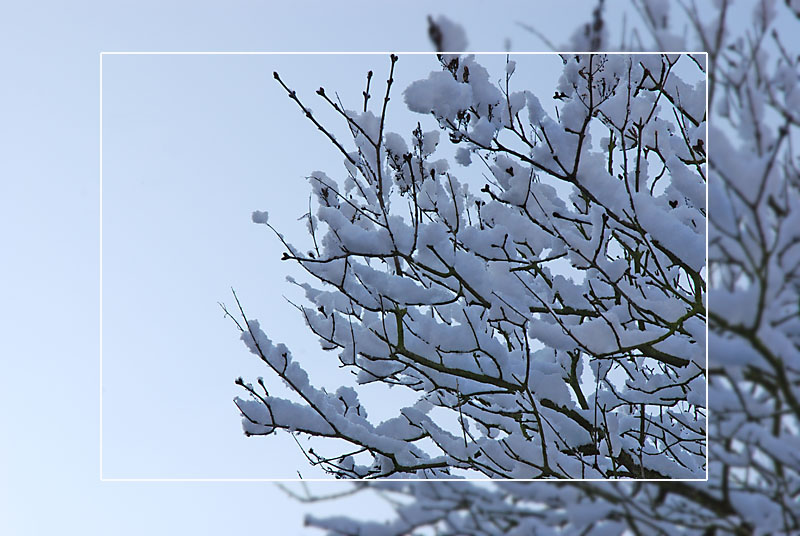Schnee3