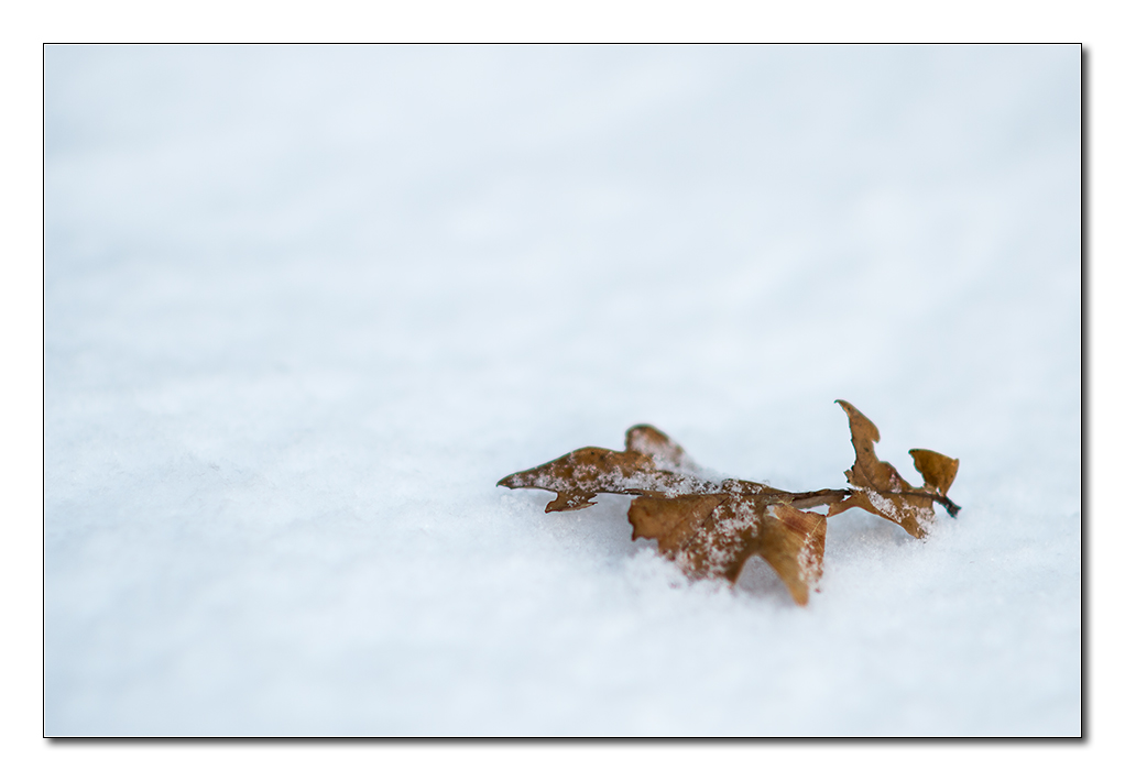schnee3
