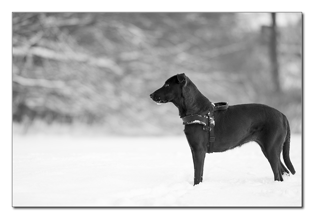 schnee7