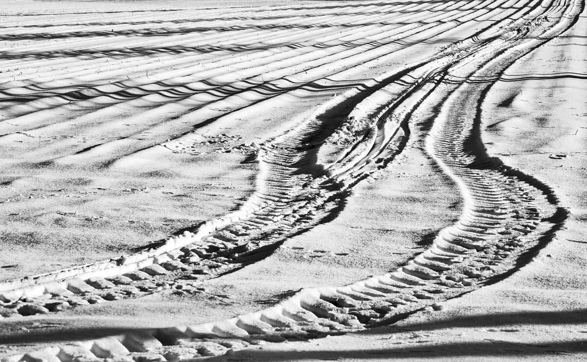 Schneeacker BW.jpg