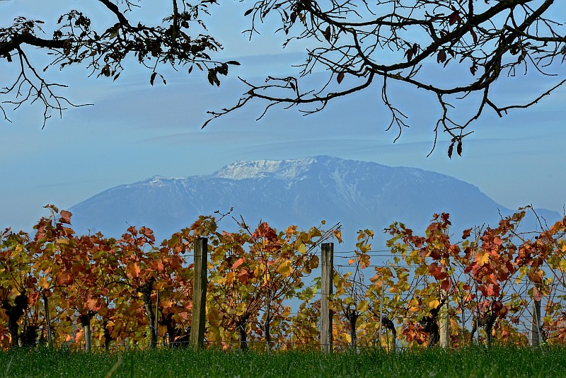 Schneeberg