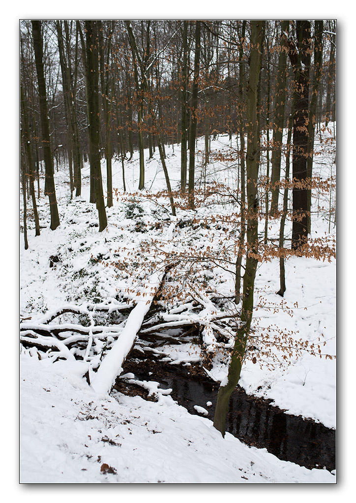 schneechaos