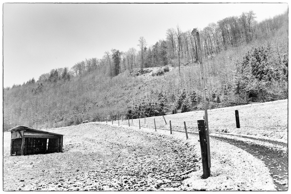 SchneeDSC 0456