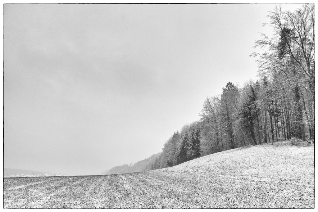 SchneeDSC 0462