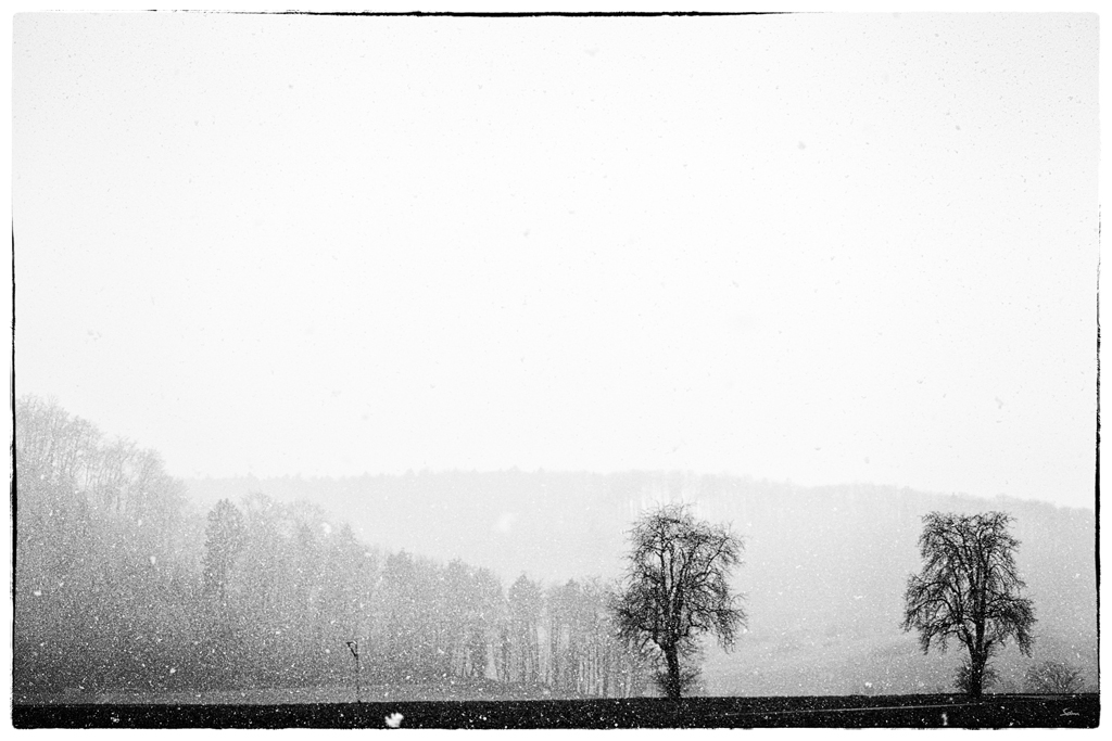 SchneeDSC 0761