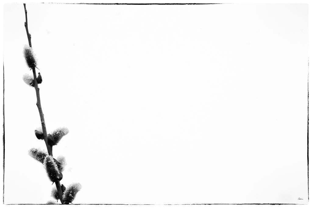 SchneeDSC 0771