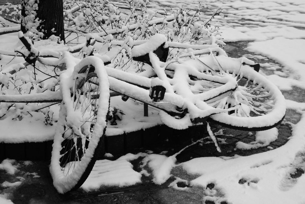 SchneeFall