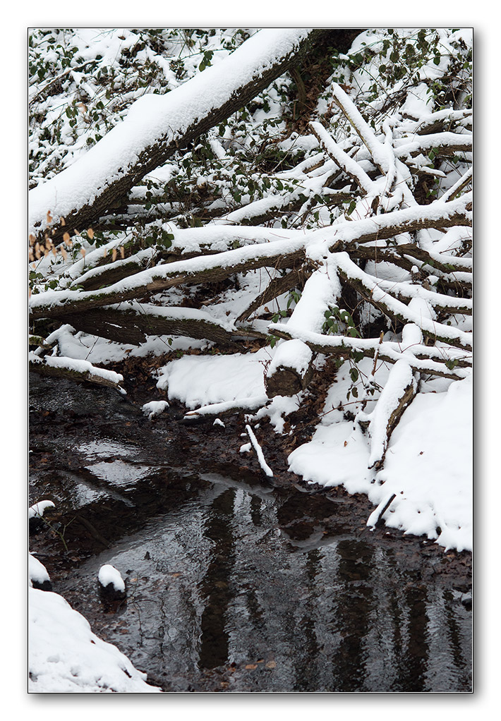 schneeform1
