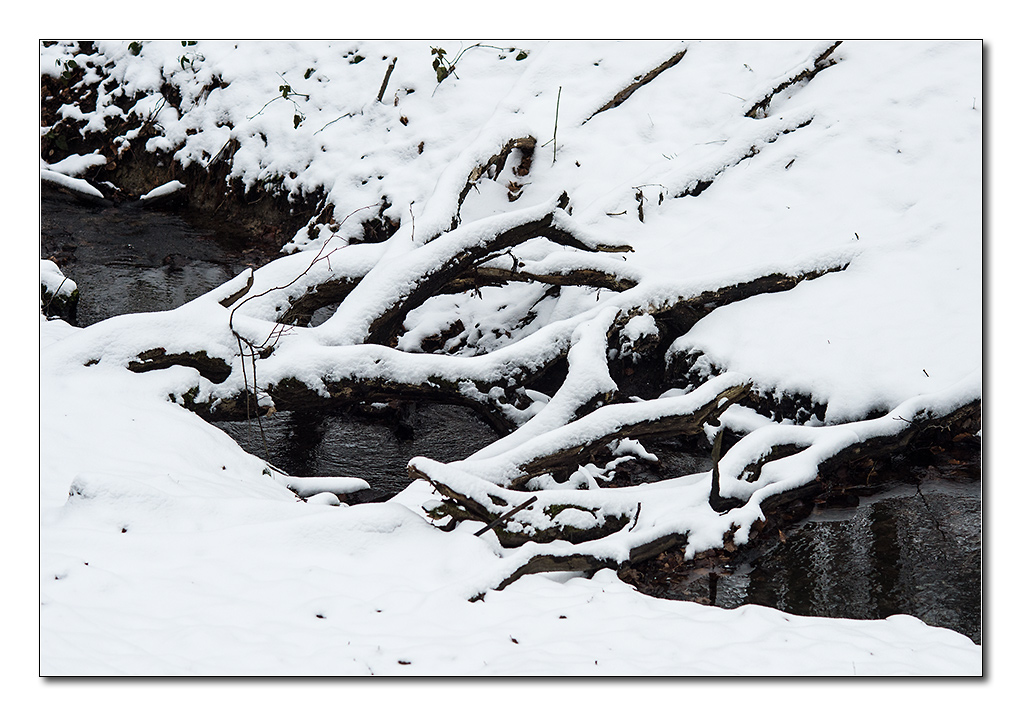 schneeform2