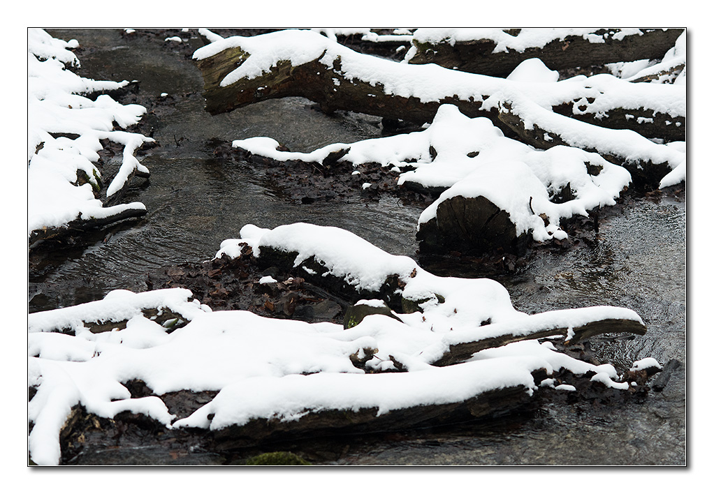 schneeform4