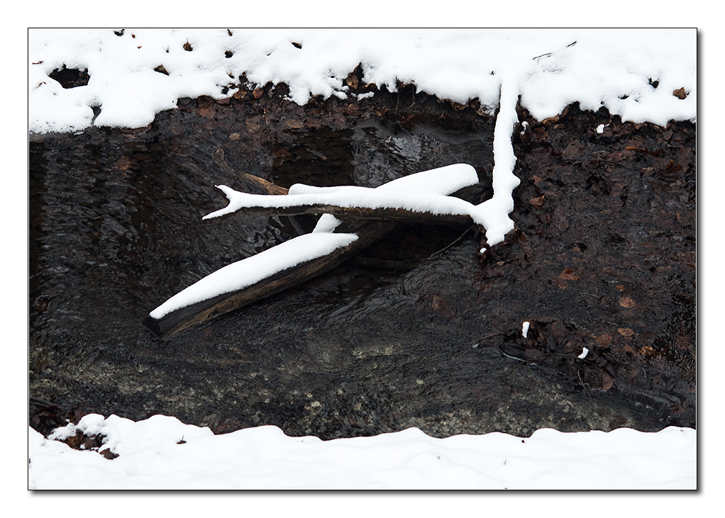 schneeform5