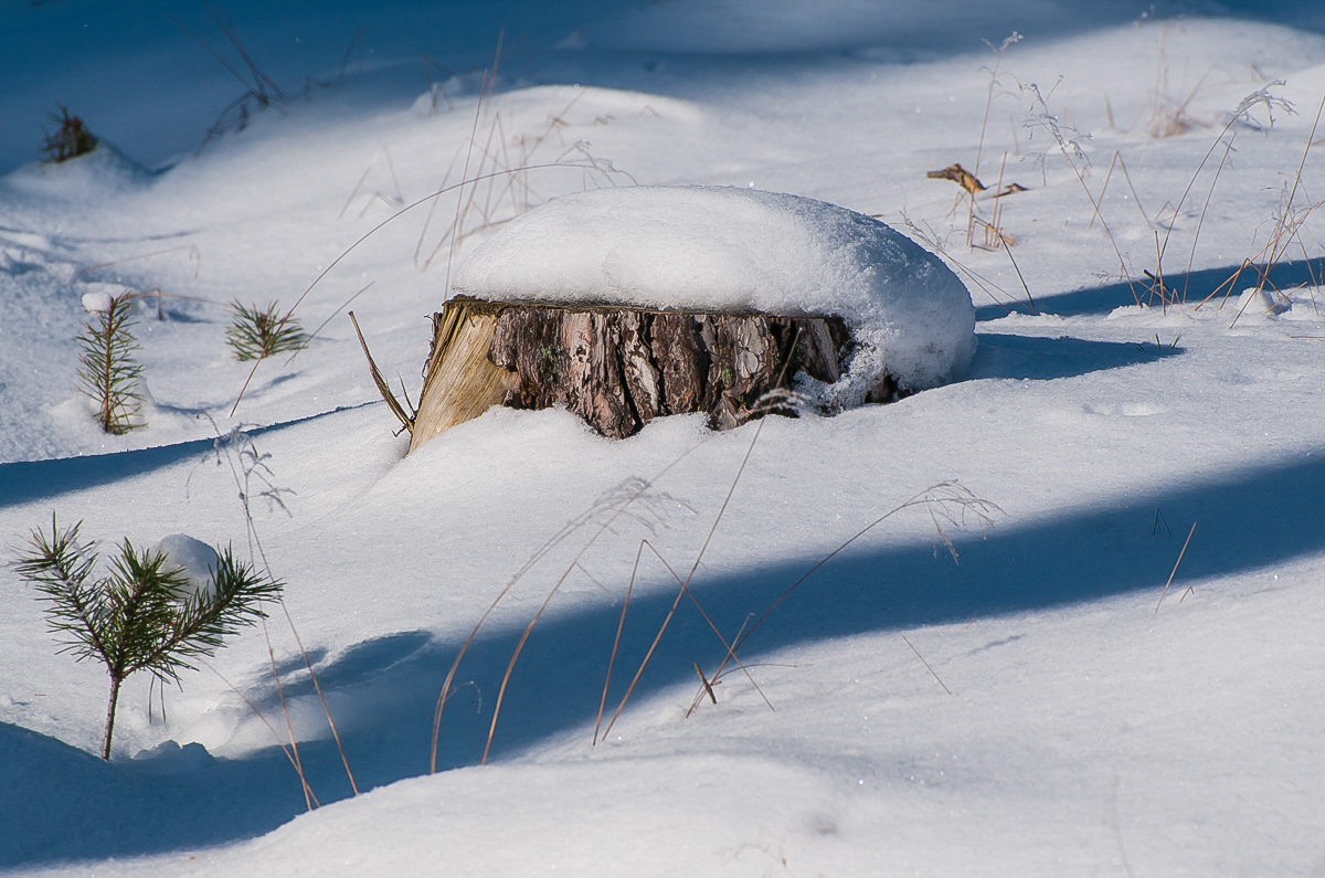 Schneemütze (1 von 1).JPG