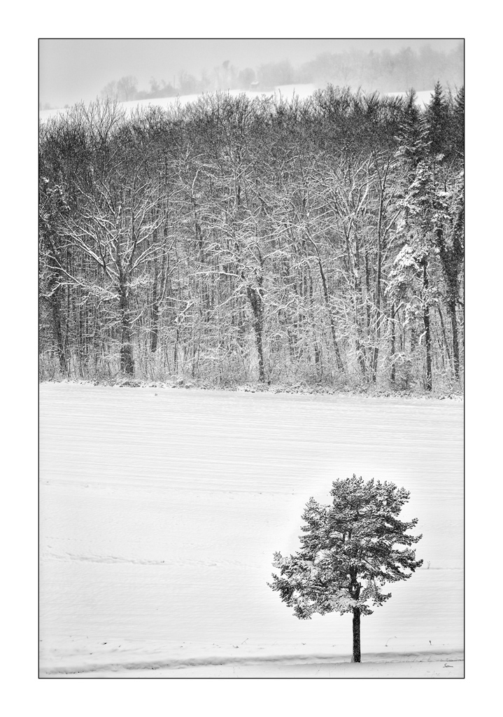 SchneePZ1 4314