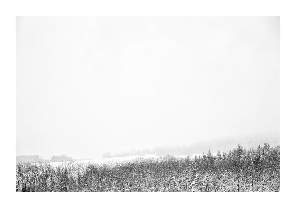 SchneePZ1 4318