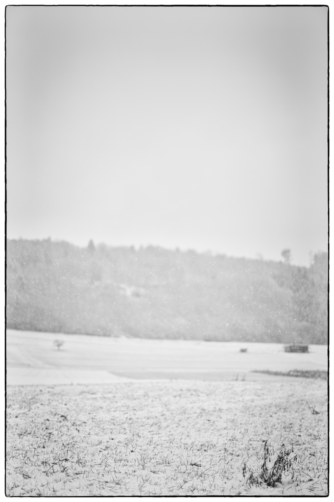 SchneePZ1 4806