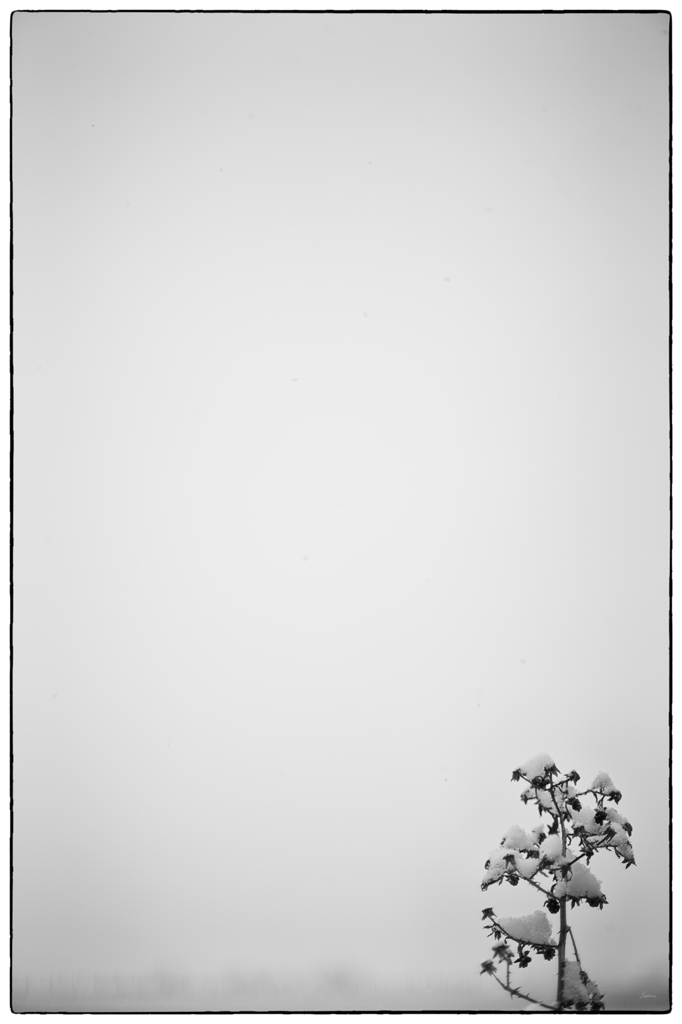 SchneePZ1 4812