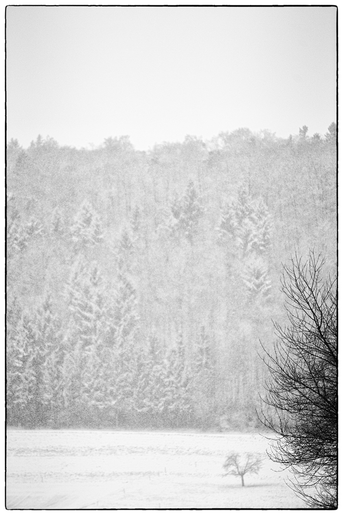 SchneePZ1 4820