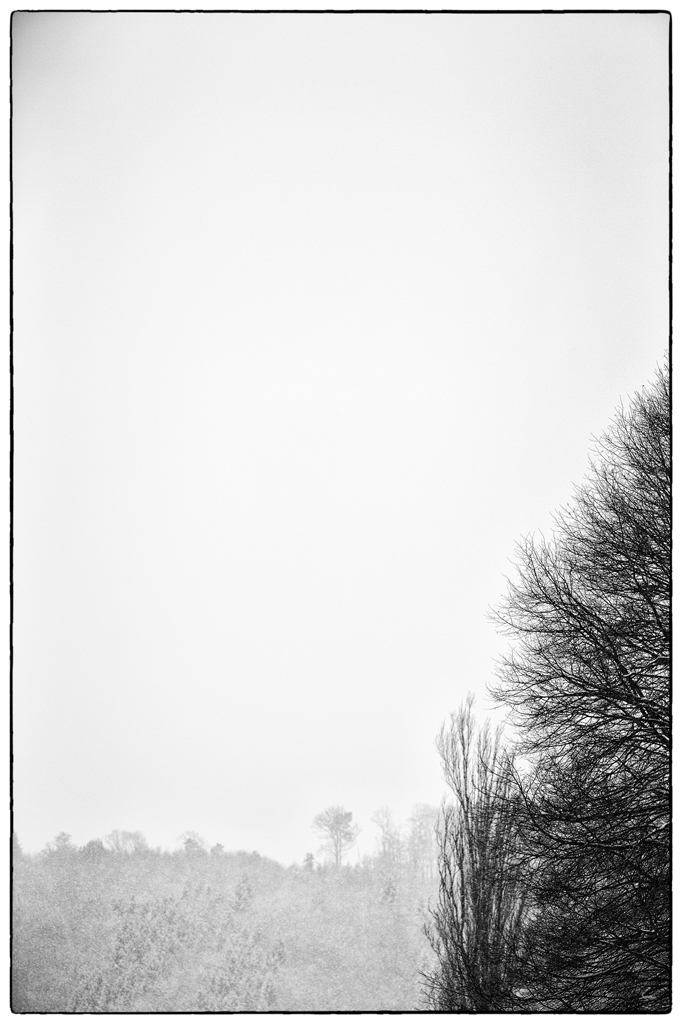 SchneePZ1 4823