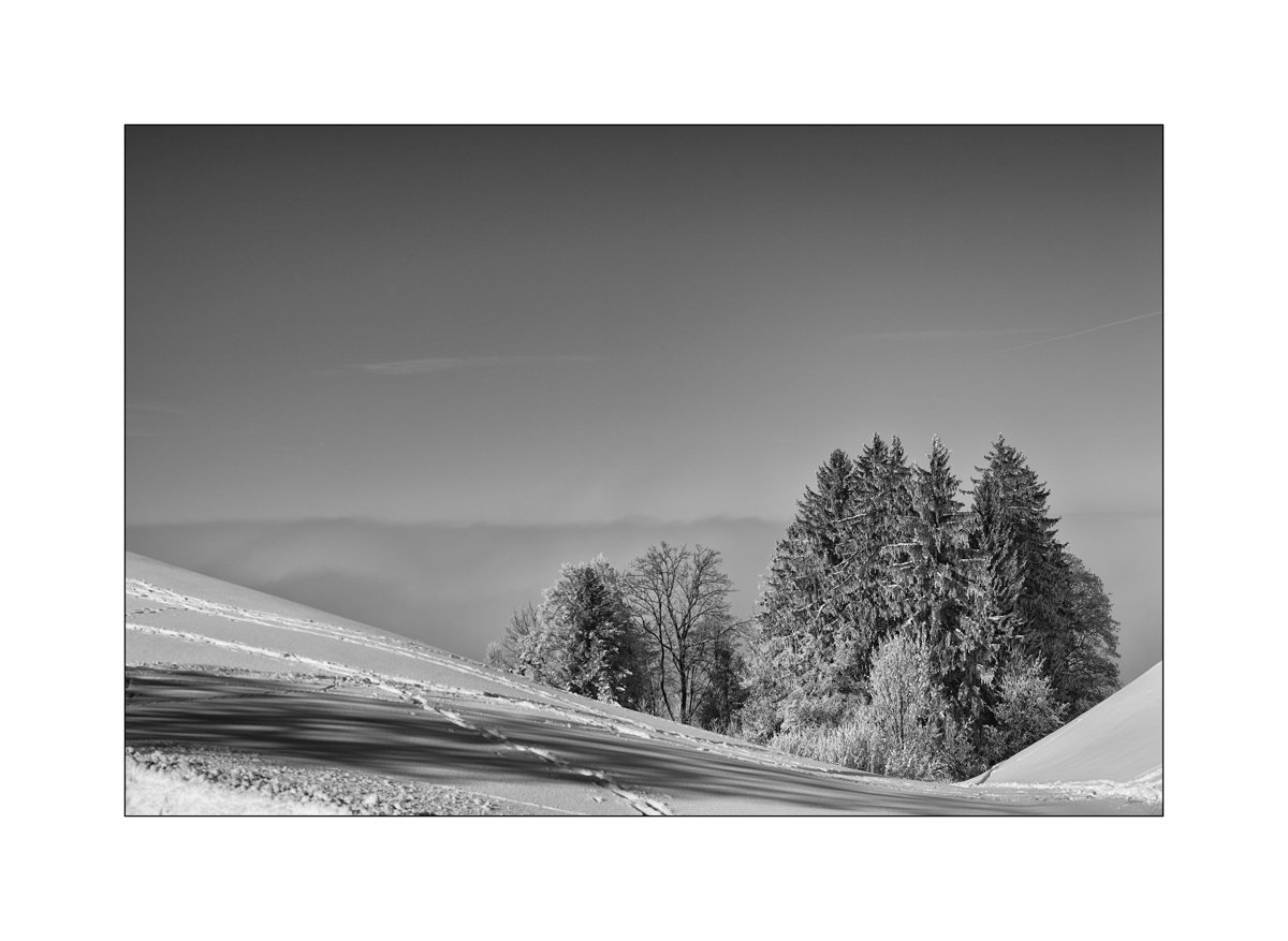 SchneePZ1 9559