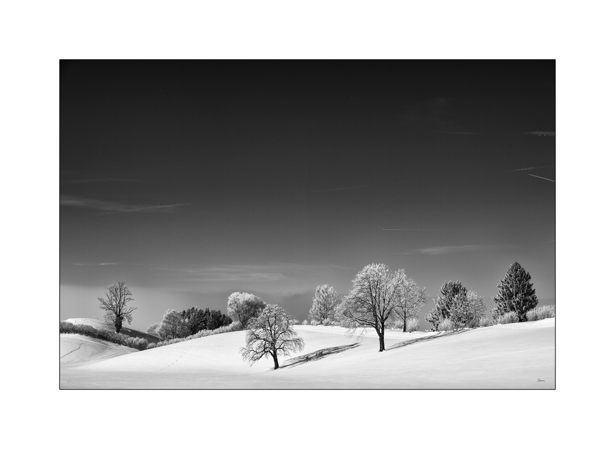 SchneePZ1 9564
