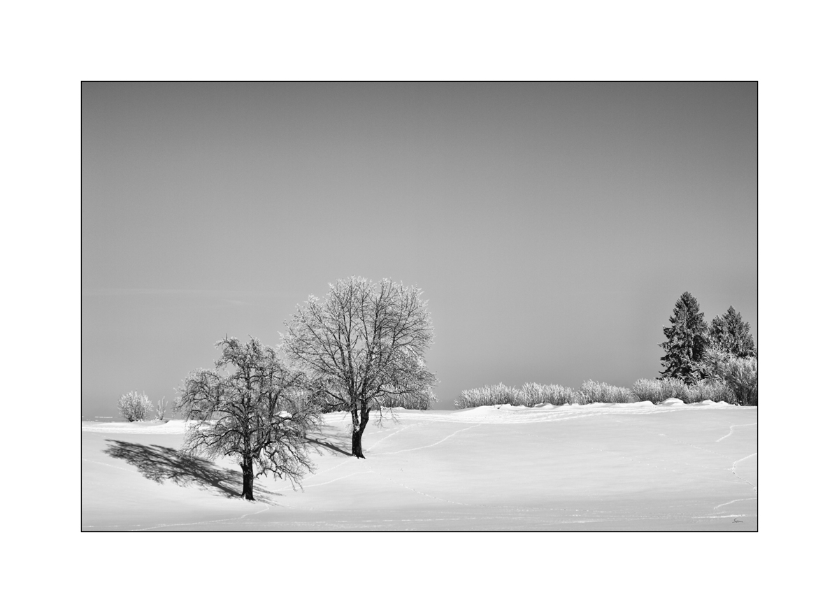 SchneePZ1 9566