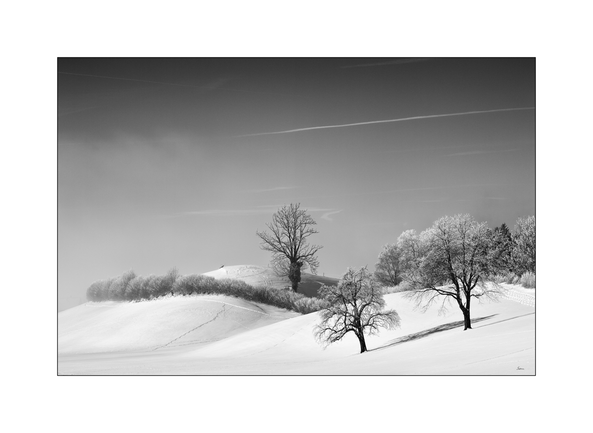 SchneePZ1 9573