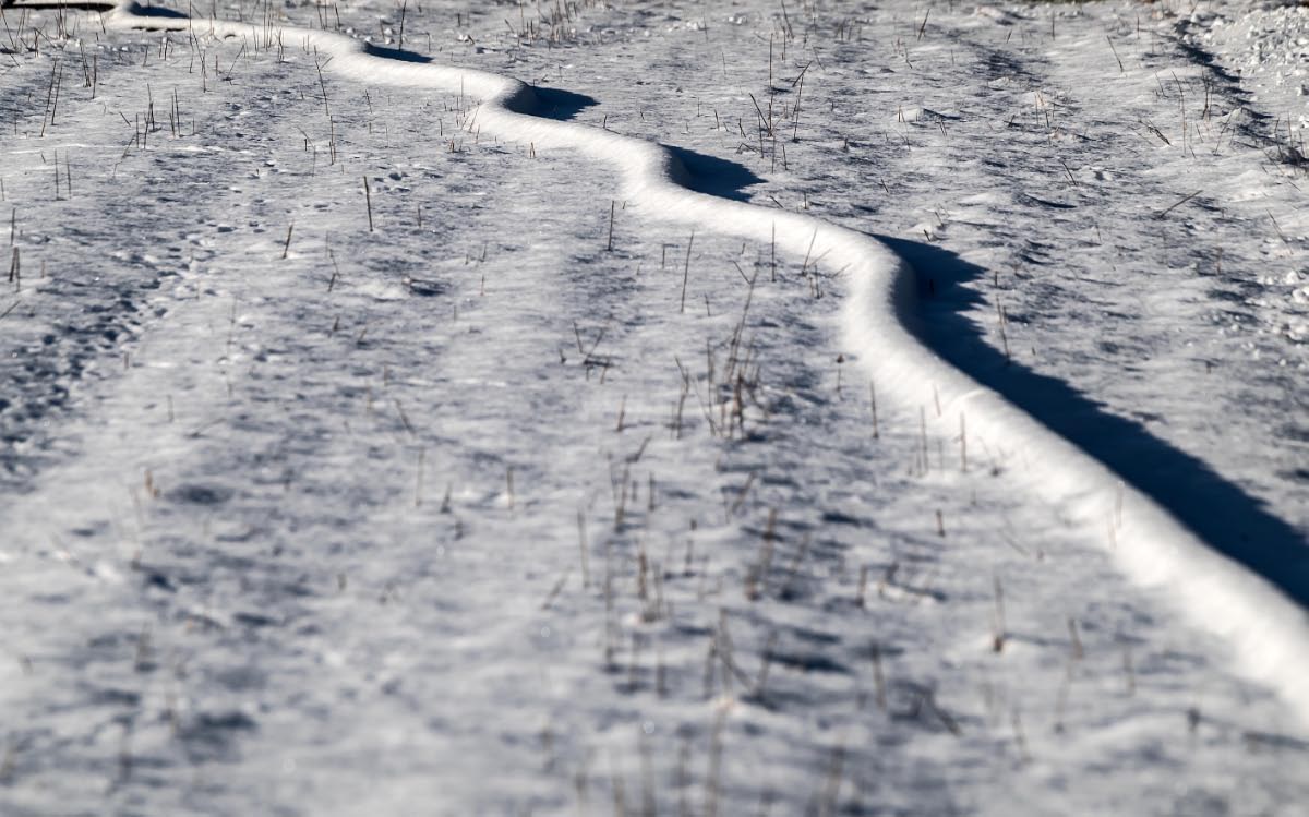 Schneeschlange.jpg