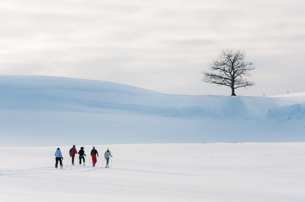 Schneeschuhwanderung 1