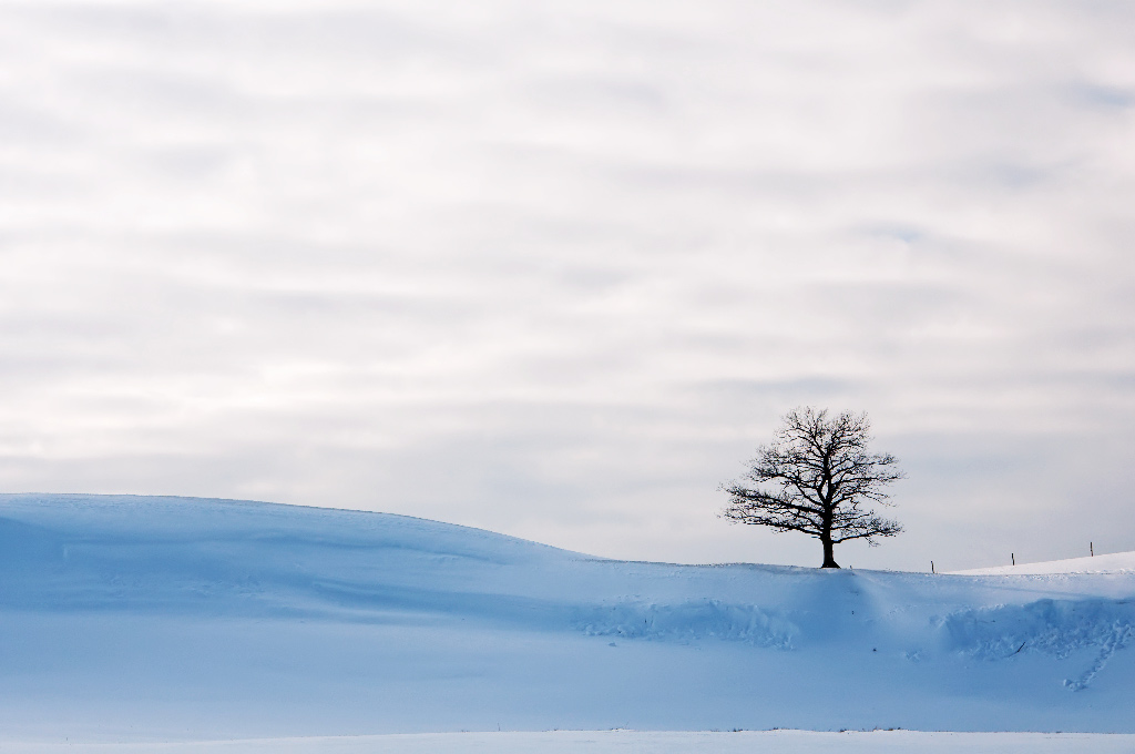Schneeschuhwanderung 2