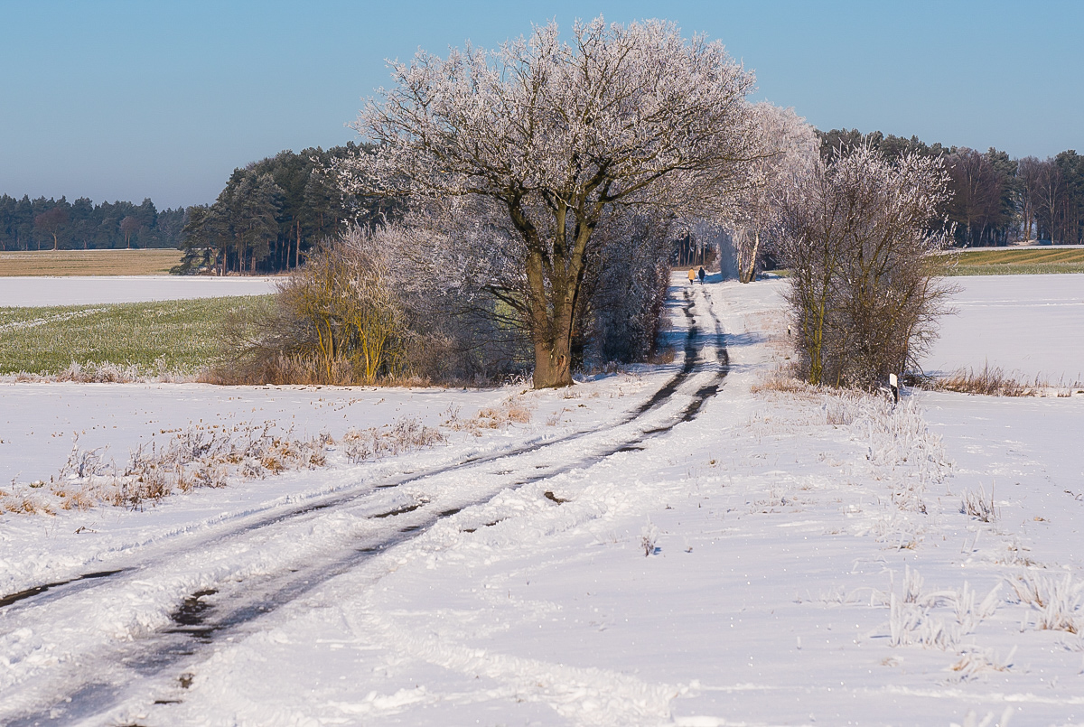 Schneespaziergang (1 von 1).JPG
