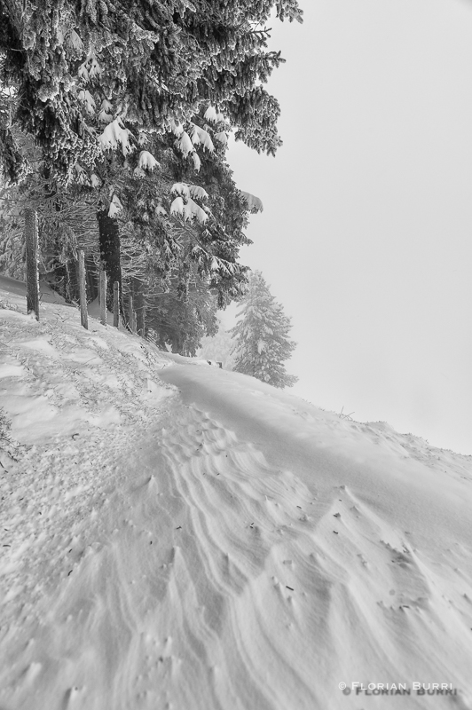 Schneeverwehungen