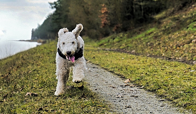 Schnell das warme Wetter nutzen, abends wird es wieder kahahalt brrrr..........jpg