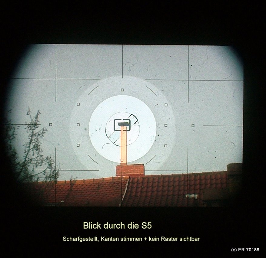 schnitt1
