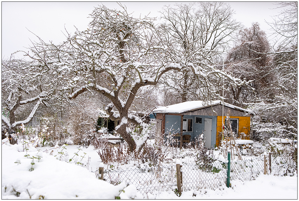 Schrebergarten im November – Schneedecke
