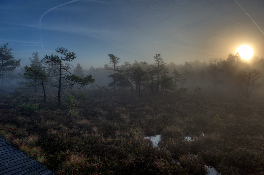 Schwarzes Moor 001