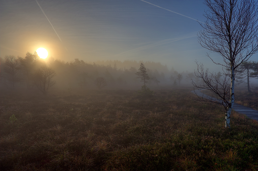 Schwarzes Moor 002