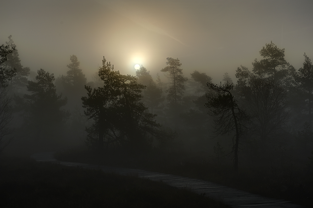 Schwarzes Moor 003