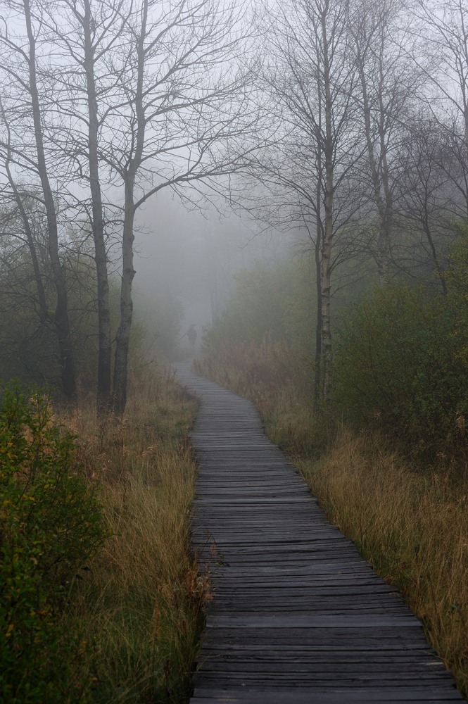 Schwarzes Moor 004