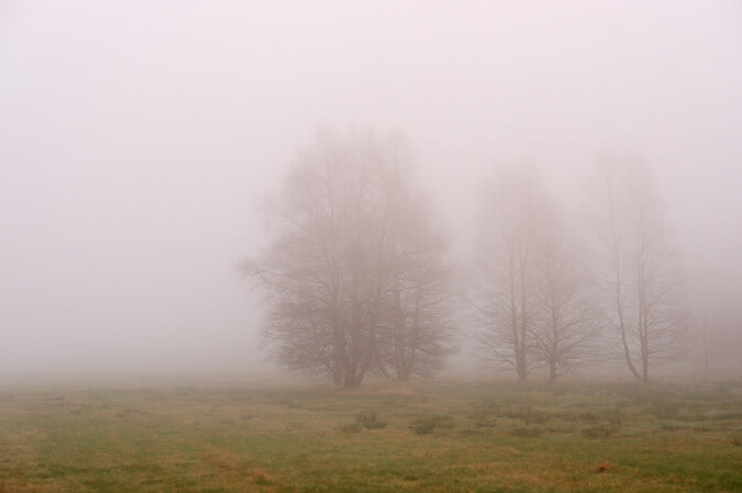 Schwarzes Moor 01