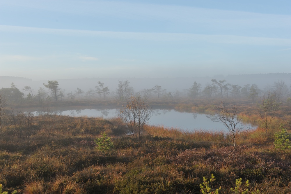Schwarzes Moor 018