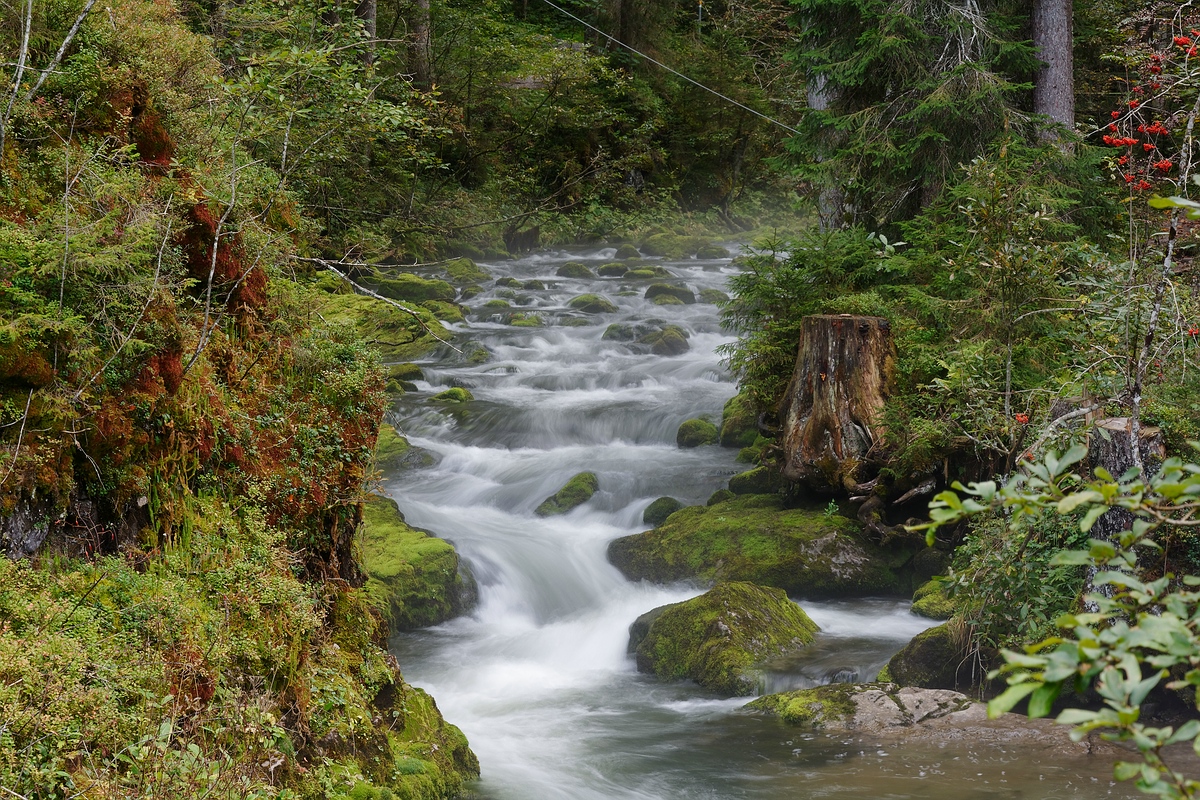 Schwarzwasser