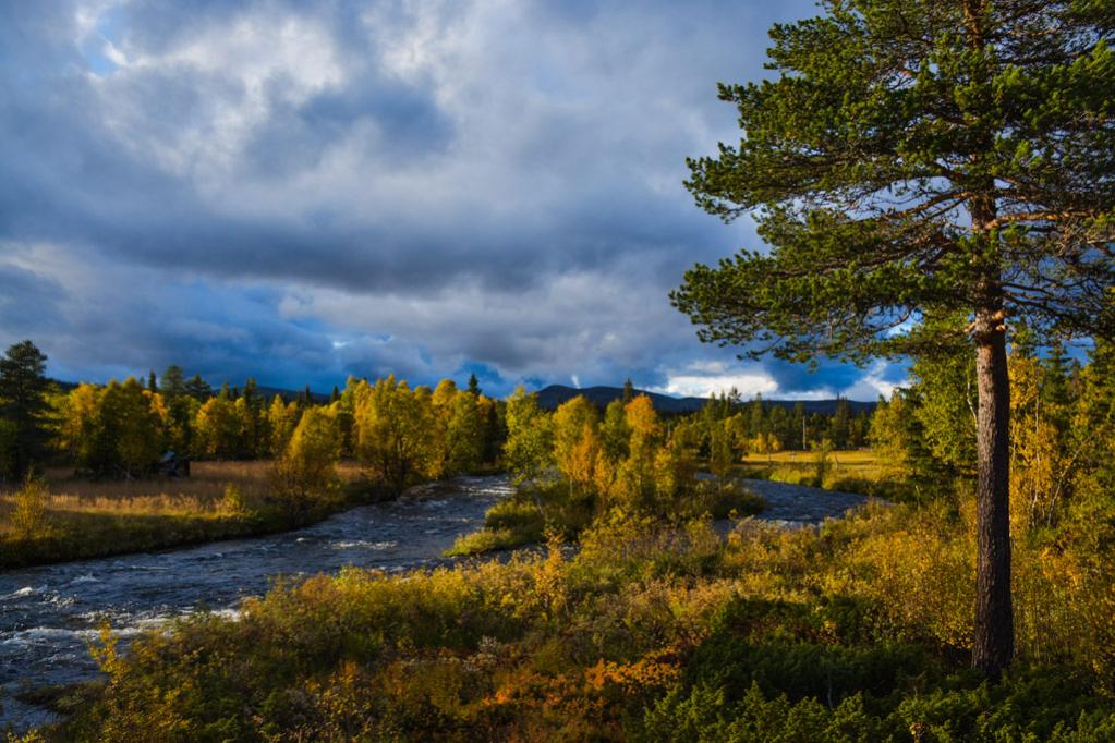 Schweden Grövelsjön 2015