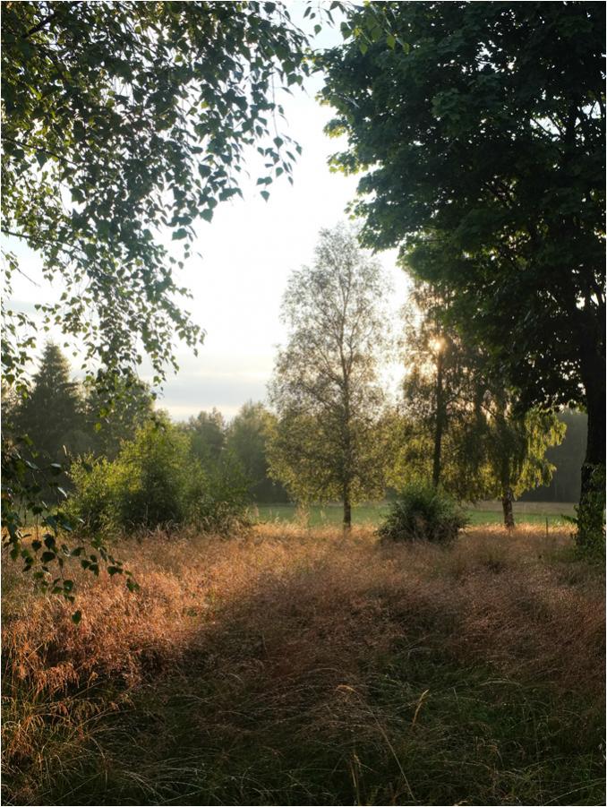 schwedensonne