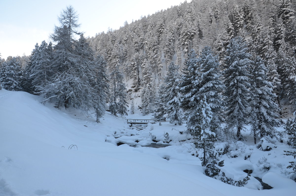 Schweizer Naturschutzgebiet II