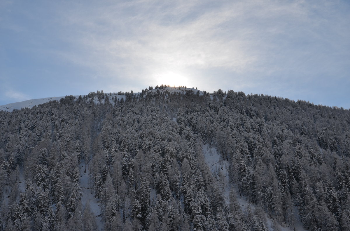 Schweizer Naturschutzgebiet