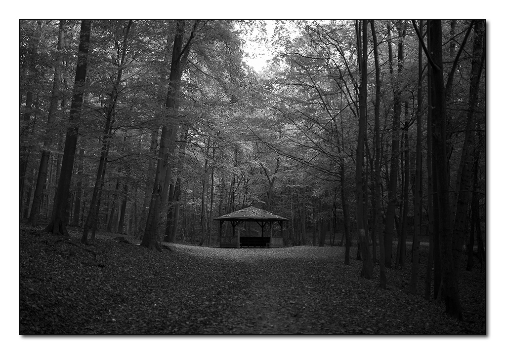 schwerterwald