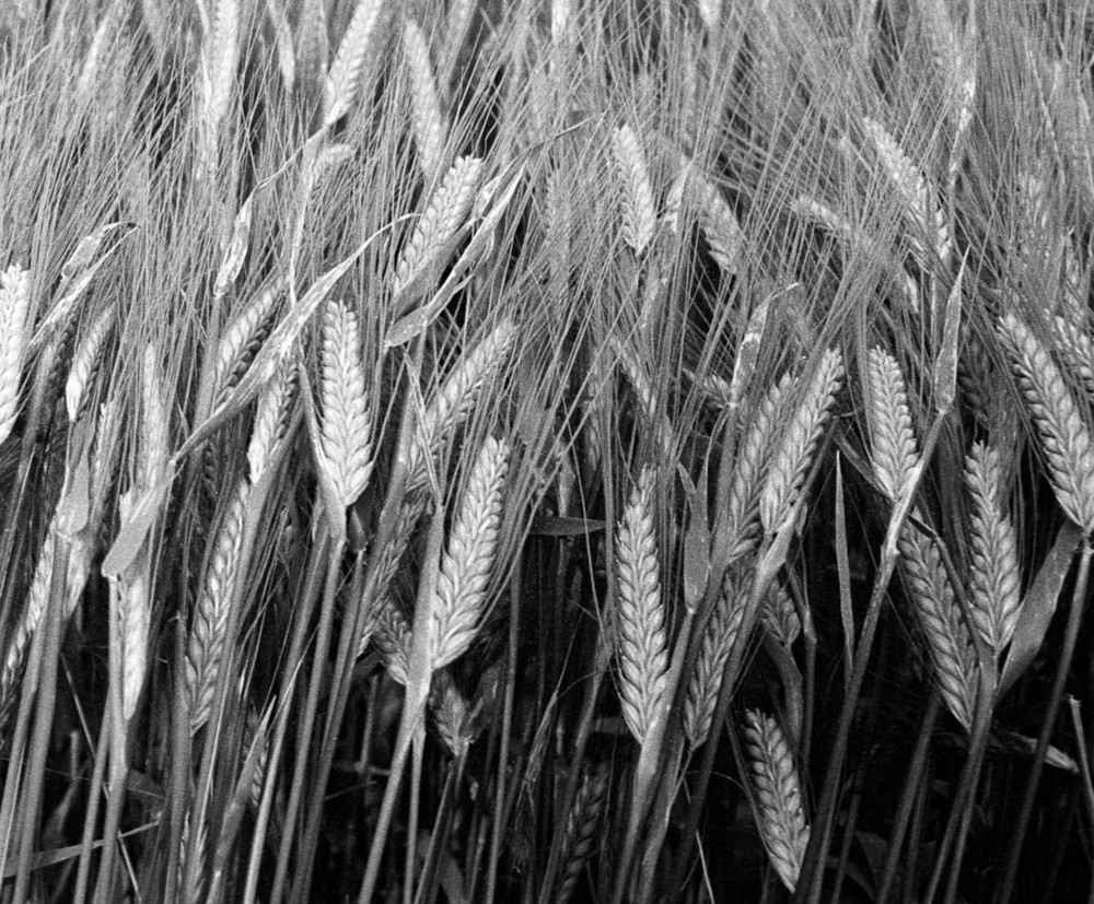 Screen Shot 2012 09 30 at 19.05
