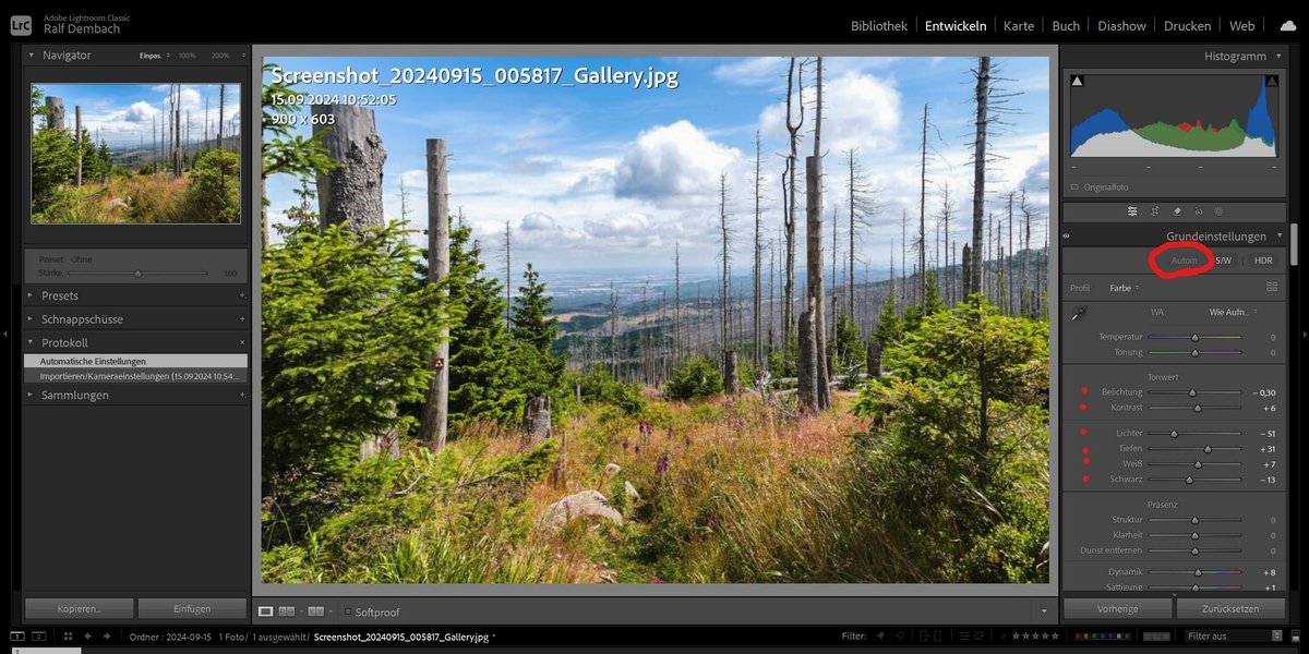 Screenshot 2024-09-15 110259.jpg